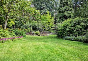 Optimiser l'expérience du jardin à Beauchemin